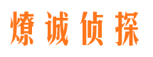 东河市调查取证